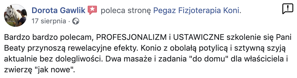 polecanie fizjoterapia koni śląsk