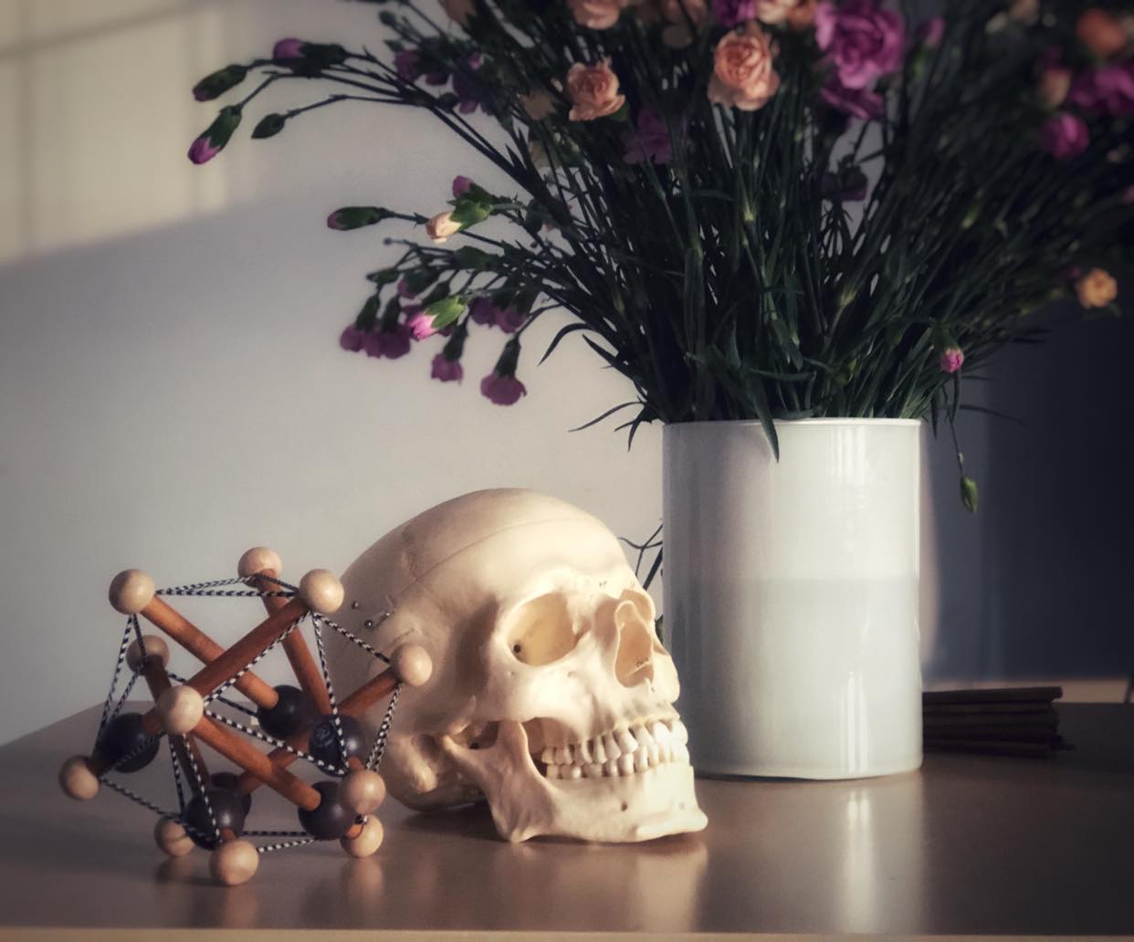 skull