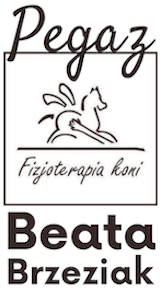 logo_małe blog o pasji jeździeckiej