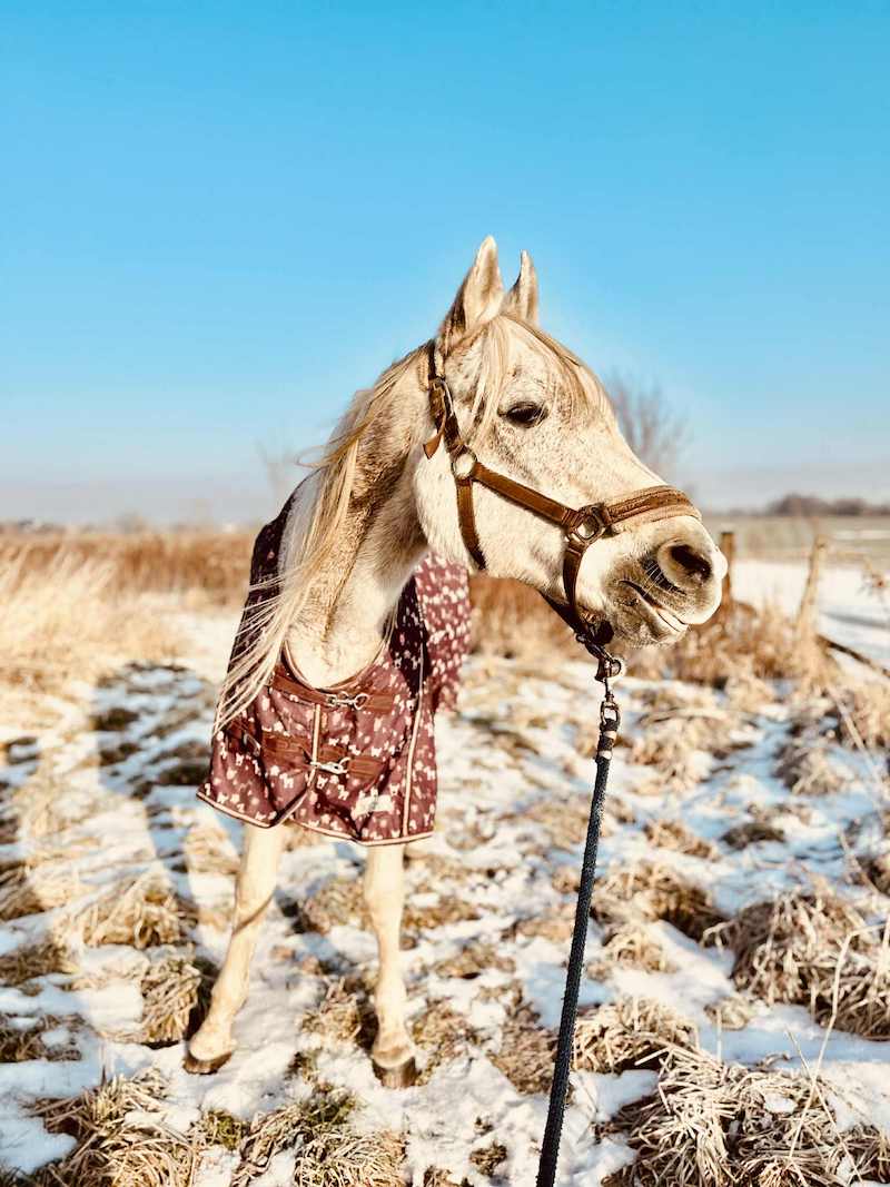 terapia czaszkowo - krzyżowa historia